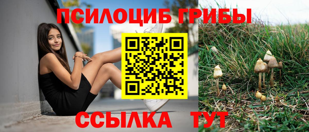 Галлюциногенные грибы Magic Shrooms  Вход с VPN  Галлюциногенные грибы Magic Shrooms  Серпухов 
