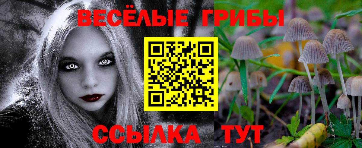 Галлюциногенные грибы Psilocybine cubensis Серпухов